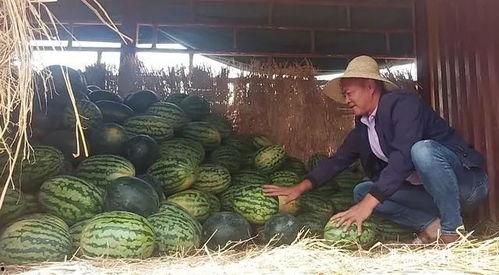 昆明某网红吃瓜事件