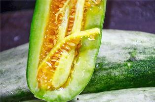 网红安安带吃瓜视频,网红美食视频大揭秘